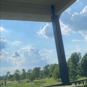 Meet your Posher, Lily